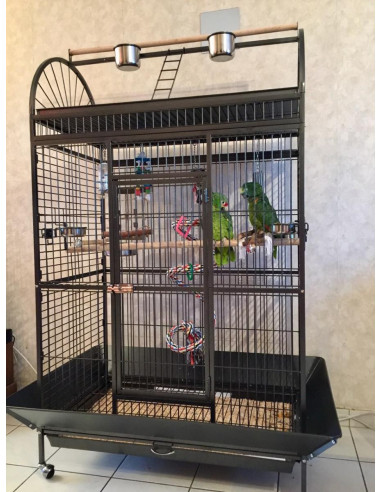 Cage perroquet Amazone cage gris gabon cage ara electus