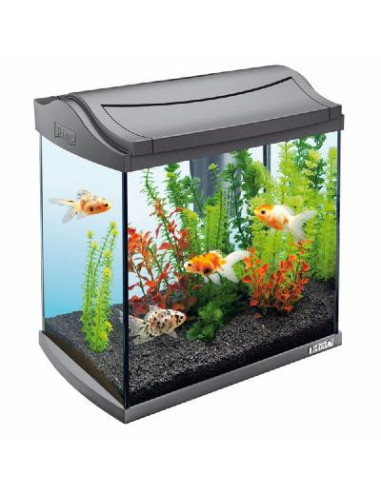 Aquarium complet 20L + filtration + pompe à air ciel et terre