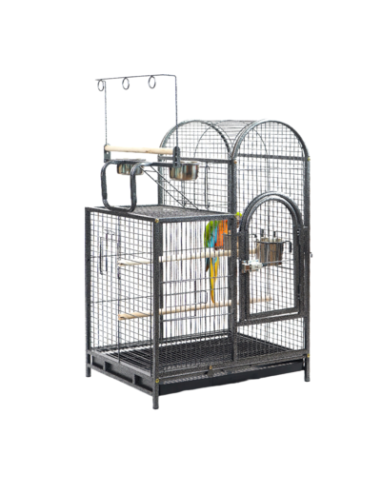 Cage perroquet Elise cage gabon cage amazone perruche
