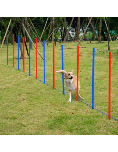 Parcours d'agilité 12 poteaux parcours agility chien