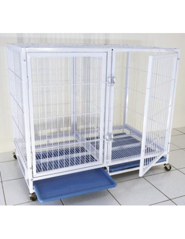 Cage gardiennage double cage professionnel cage vétérinaire