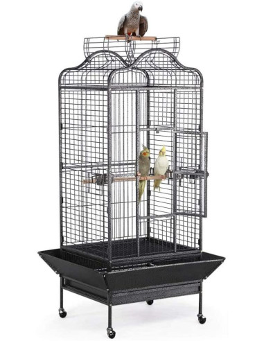 Cage perroquet Malibu cage gris gabon conure perruche