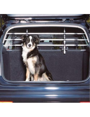 Filet de protection pratique pour botte de voiture pour chien, barrière de  sécurité pour animaux de