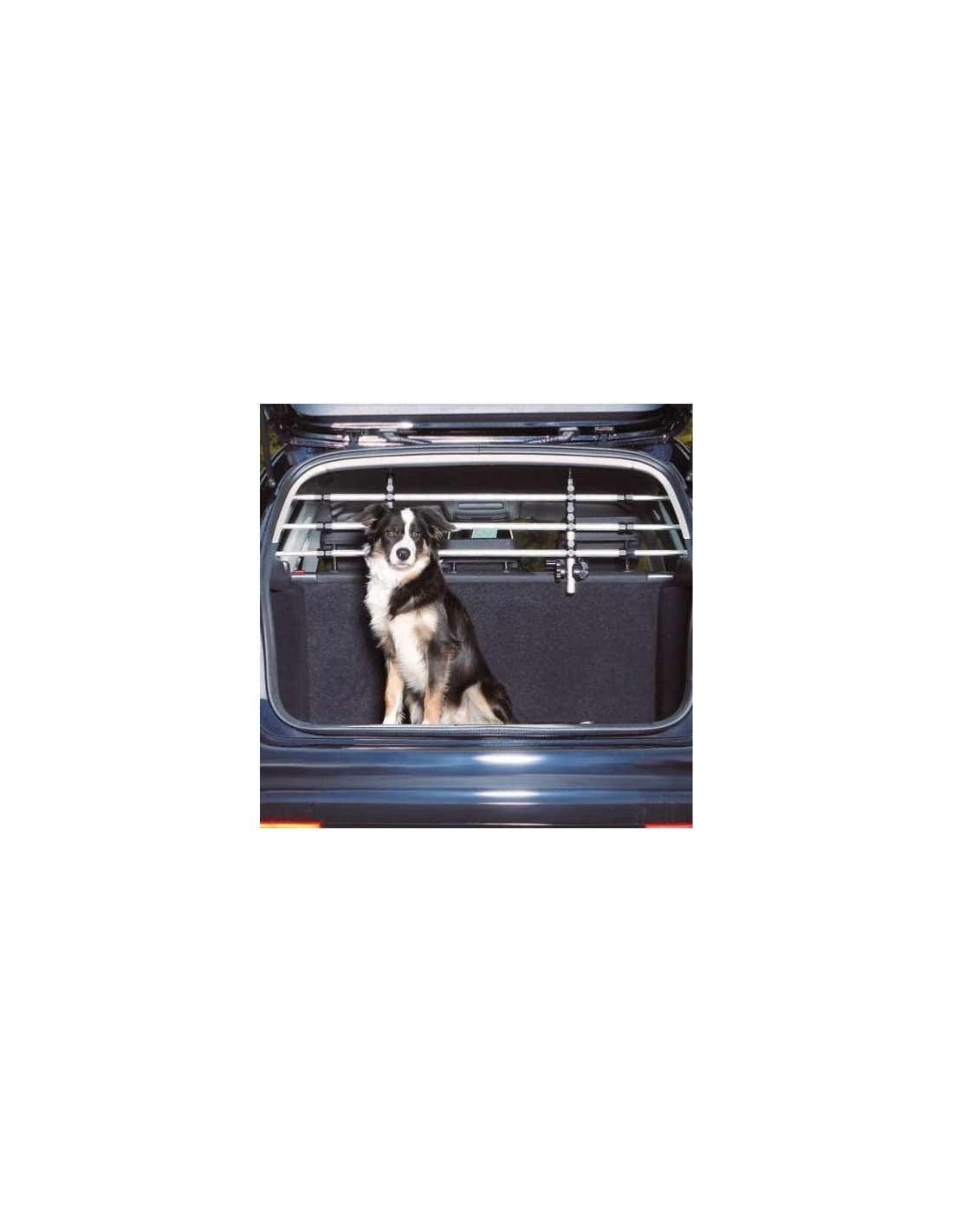 Grille séparation voiture grille protection chien voiture - Ciel