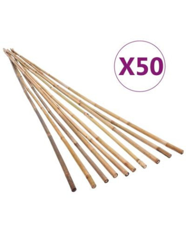 Lot 50 pcs piquets en bambou 170 cm cielterre-commerce