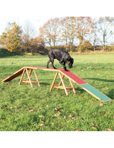 Grande rampe agilité chien 456 cm parcours chien agility