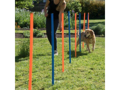 Kit de parcours d'agilité pour chien pour intérieur et extérieur, équipement  de dressage d'agilité pour chien avec tunnel pour chien, poteaux de  tissage, haies réglables, anneau de saut, boîte de pause, jouets