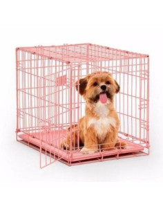 Cage gardiennage cage éleveur cage vétérinaire cage chien - Ciel