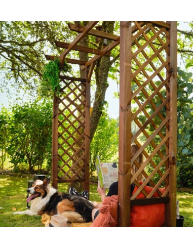 Arche de jardin, portique : supports pour plantes grimpantes