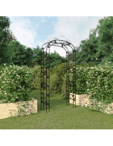 Arche de jardin Noir en Acier Arche jardin Métal Arche en Métal Arche plantes grimpantes